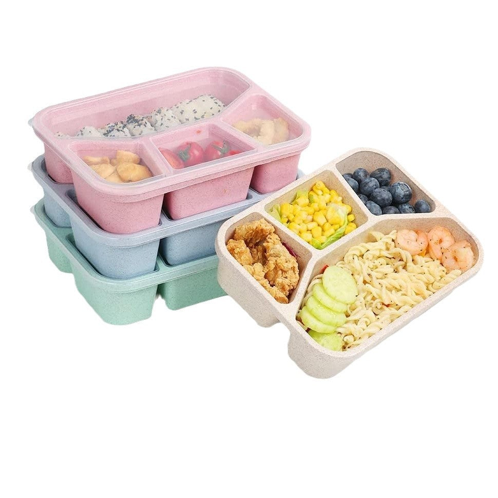Simple Rectangular Compartment Lunch Box – 4-Grid Fruit & Food Container