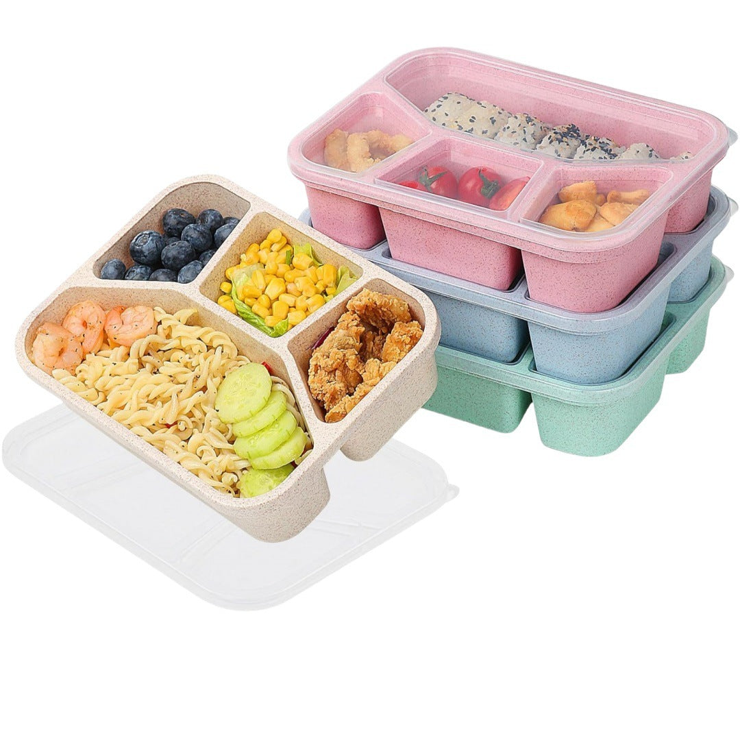 Simple Rectangular Compartment Lunch Box – 4-Grid Fruit & Food Container
