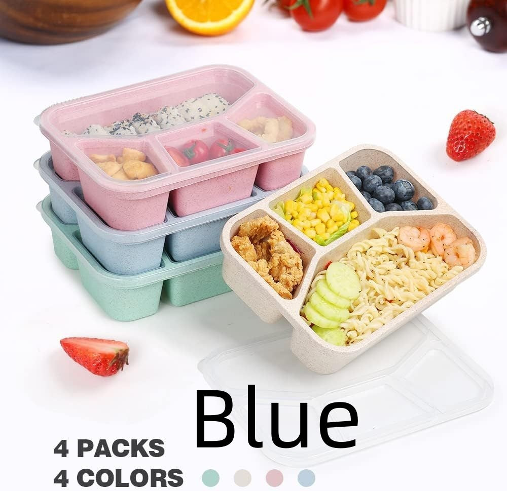 Simple Rectangular Compartment Lunch Box – 4-Grid Fruit & Food Container